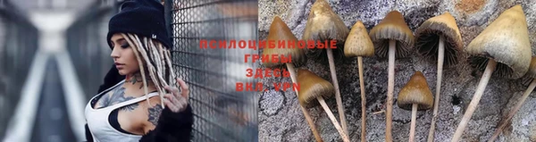 шишки Лихославль