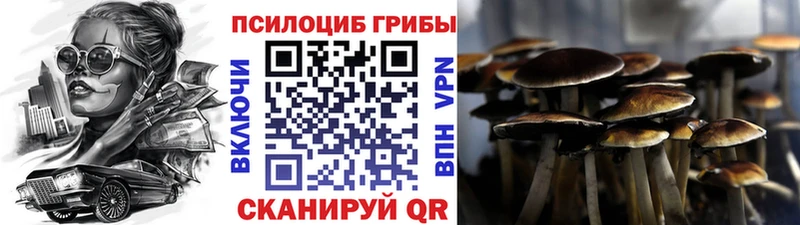 как найти   hydra ССЫЛКА  Галлюциногенные грибы мухоморы  Фокино 